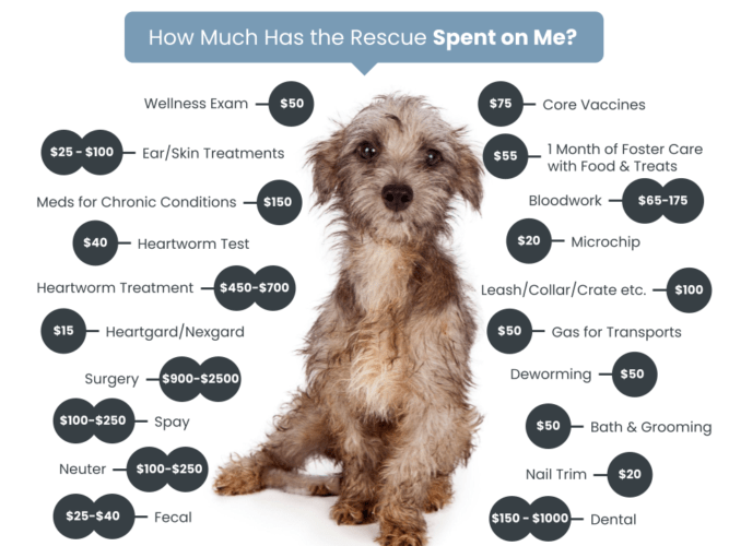 Adoption Fees CrisisDogsNC