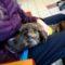 Buster Brown