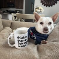 Adoptable Zeke NC