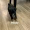 Missy