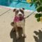 Lilah