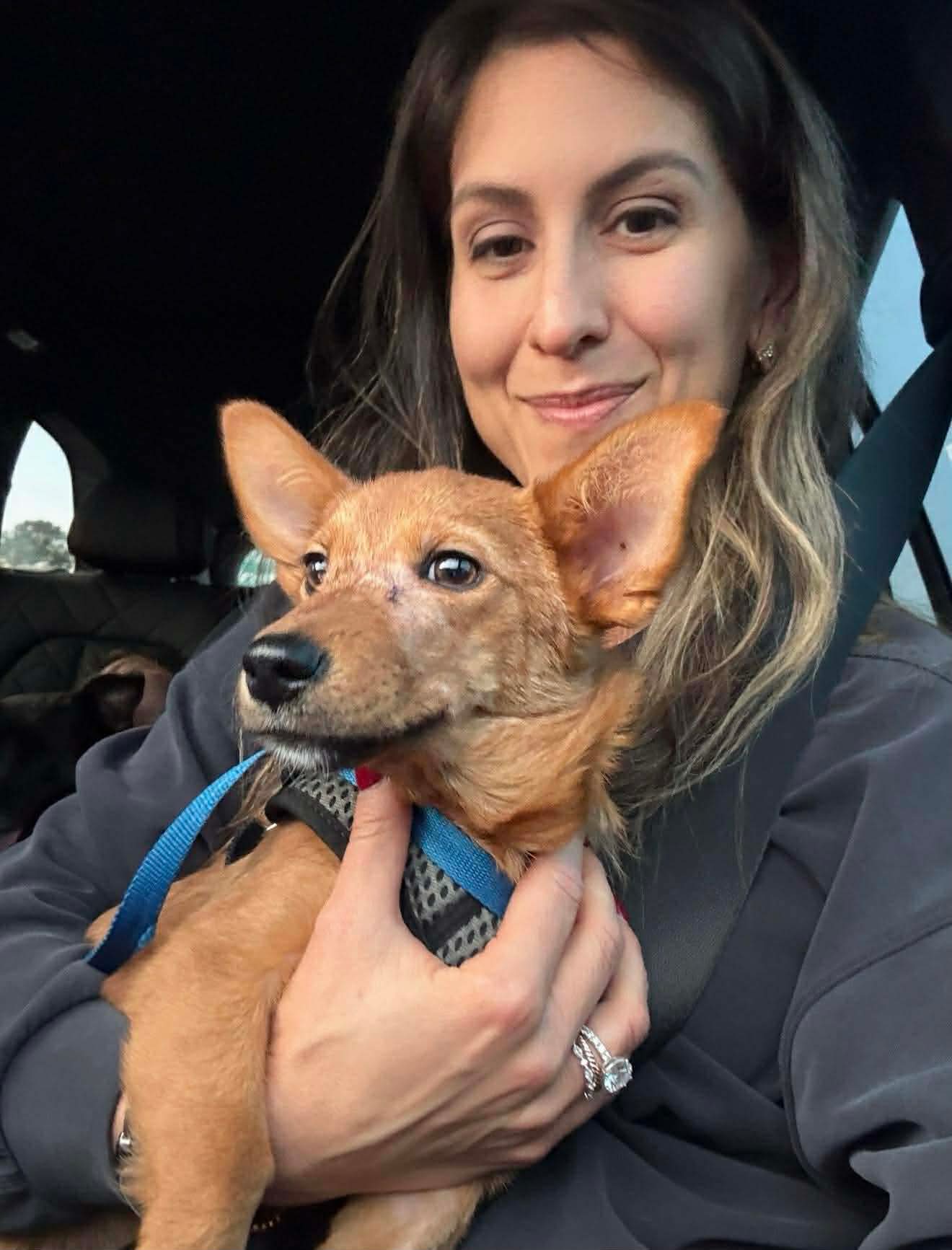 5c564657b4af5fb1a4b2e31c1c3823a7