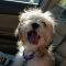 Murphy