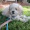 Murphy