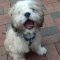 Murphy