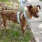 Roxy