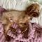 Tiny Tim