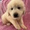 Winnie
