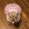 Molly
